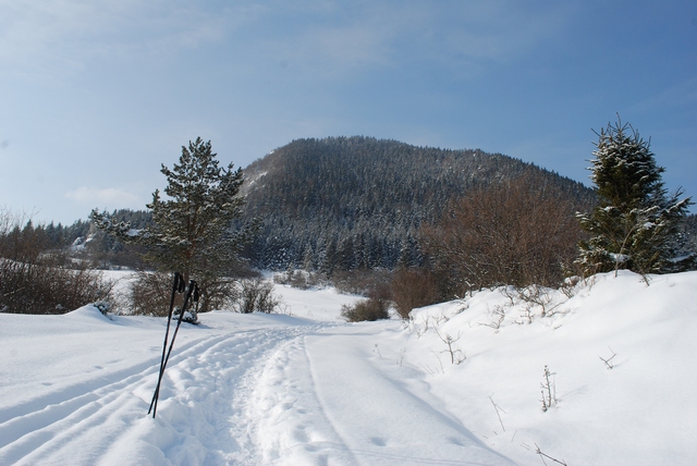Sidorovo