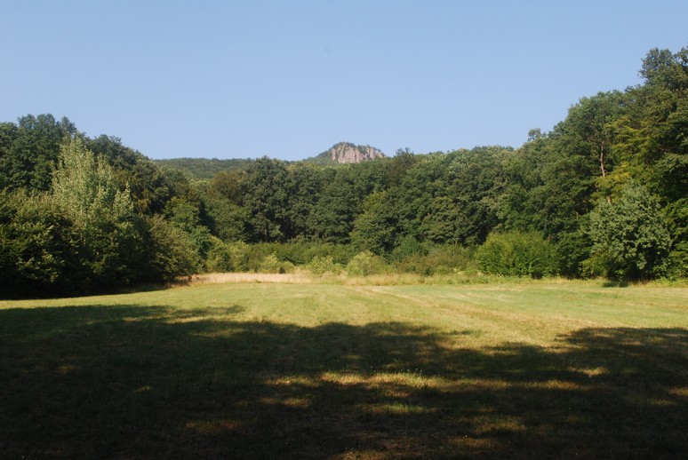 Žarnov