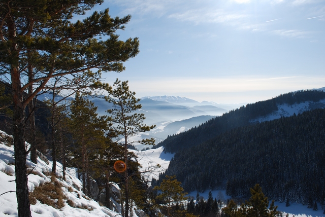 Pohľady z Halín 2