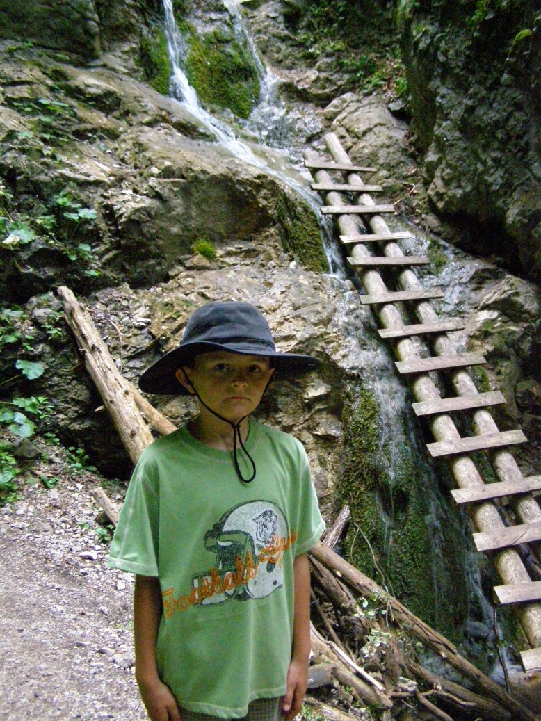 3 - 2007