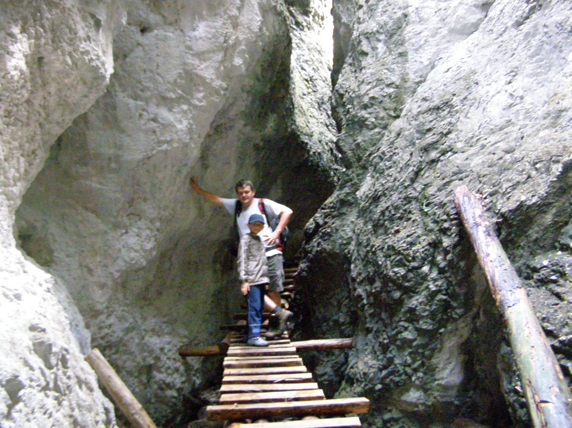 8 - 2007