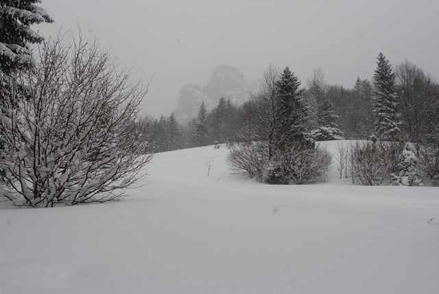 Zo Štefanovej k tiesňavám Diery