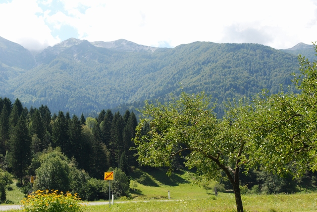 Savica 1