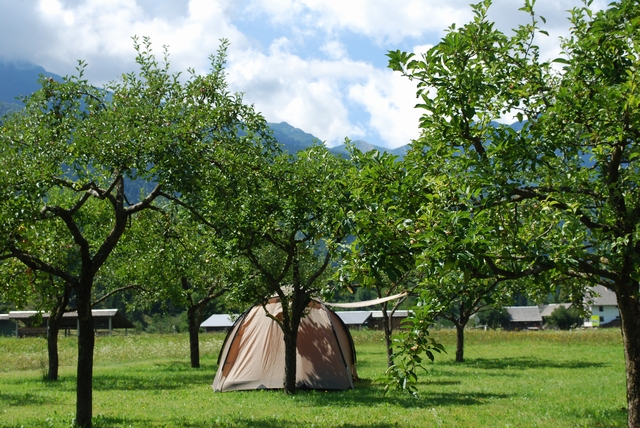 Savica 2